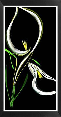 Lilies Rights Managed Images - The Cala Lily Royalty-Free Image by Amanda Struz