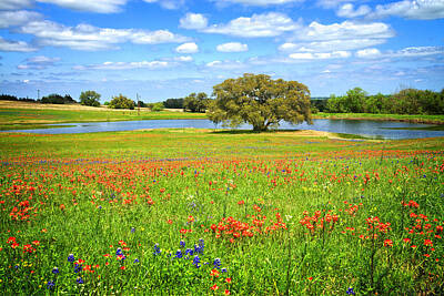 Pucker Up Royalty Free Images - The Charm of a Texas Spring Royalty-Free Image by Lynn Bauer