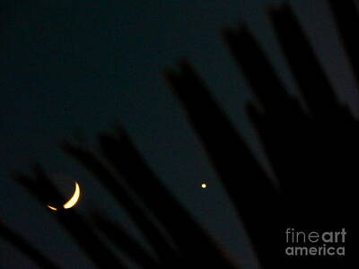 Remembering Karl Lagerfeld Rights Managed Images - The Crescent Moon And Planet Venus Rise Over The Crescent City Of New Orleans Louisiana Royalty-Free Image by Michael Hoard