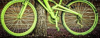 Sunflowers Rights Managed Images - The Green Bike Royalty-Free Image by Image Takers Photography LLC - Carol Haddon