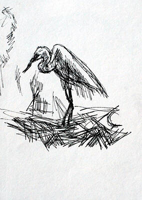 Animals Drawings - The Heron by Paul Sutcliffe