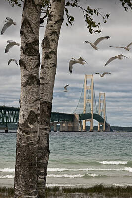 Vintage Tees - The Mackinaw Bridge with Flying Gulls by Randall Nyhof