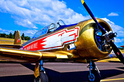 Uncle Sam Posters - The North American T-6 Texan Airplane by David Patterson