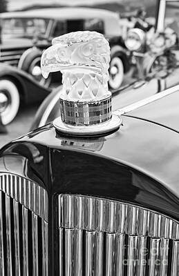 I Want To Believe Posters Rights Managed Images - The Packard Eagle Hood Ornament at the Concours d Elegance. Royalty-Free Image by Jamie Pham