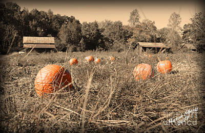 Photo Royalty Free Images - The Pumpkin Farm Royalty-Free Image by Aaron Shortt