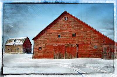 Only Orange - The Red Barn by Image Takers Photography LLC - Carol Haddon