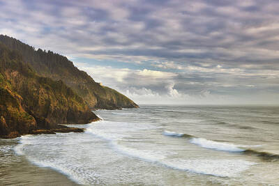 Beach Photo Rights Managed Images - The Remote Coast Royalty-Free Image by Andrew Soundarajan