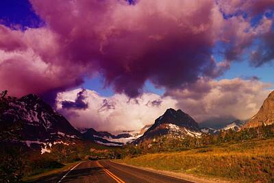 Birds Royalty-Free and Rights-Managed Images - The Road To Glacier     by Jeff Swan