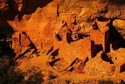 Ingredients Rights Managed Images - The Ruins In Rock At Mesa Verde Royalty-Free Image by Jeff Swan