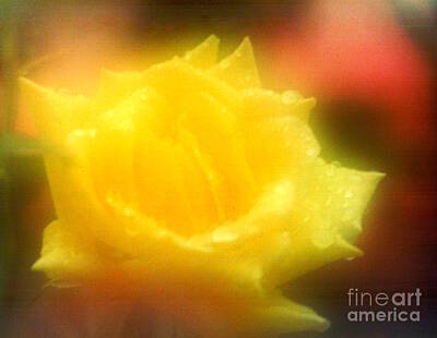 Catch Of The Day - New Orleans  Yellow Rose Of Tralee by Michael Hoard