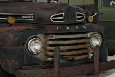 Birds Royalty-Free and Rights-Managed Images - There Is Nothing Like An Old Ford by Jeff Swan