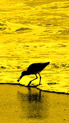 Sarah Yeoman Crow Paintings - This Beach Belongs To Me by Ian  MacDonald