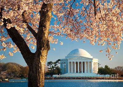 Politicians Royalty-Free and Rights-Managed Images - Thomas Jefferson Memorial by Inge Johnsson