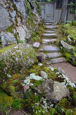 Little Mosters Rights Managed Images - Thuya Garden Stone Steps Royalty-Free Image by Lena Hatch
