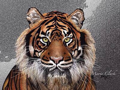 Animals Paintings - Tiger by Marie Clark