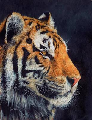 Animals Paintings - Tiger profile by David Stribbling