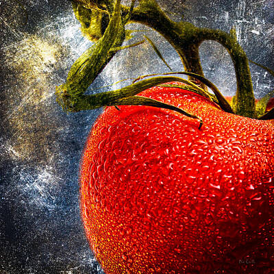 Food And Beverage Royalty Free Images - Tomato On A Vine Royalty-Free Image by Bob Orsillo