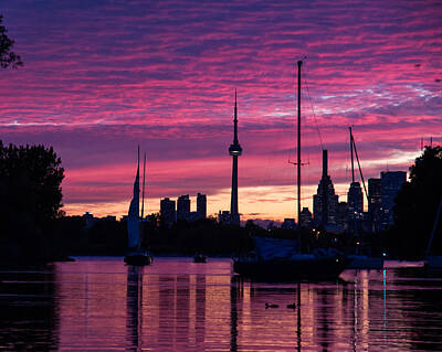 Transportation Photos - Toronto Skyline - the Boats Are Coming In by Georgia Mizuleva