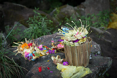 Cat Tees - Traditional offerings at Bali by Nikita Buida