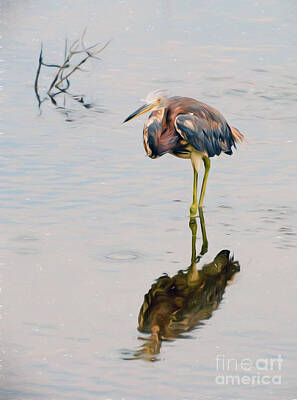 Travel Luggage Royalty Free Images - Tricolored Heron Royalty-Free Image by Kerri Farley
