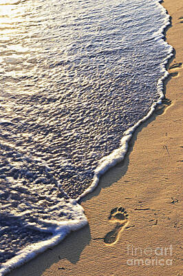 Beach Photos - Tropical beach with footprints by Elena Elisseeva