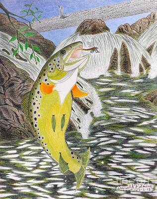 Landscapes Drawings - Trout Stream In May by Gerald Strine