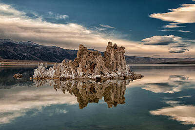 Mammals Royalty-Free and Rights-Managed Images - Tufa Reflections by Cat Connor
