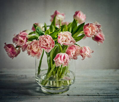 Royalty-Free and Rights-Managed Images - Tulip Still Life by Nailia Schwarz