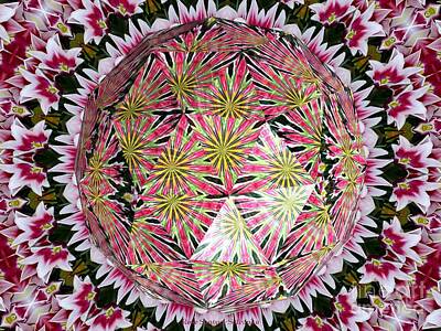 Mother And Child Paintings - Tulips Kaleidoscope Under Polyhedron Glass by Rose Santuci-Sofranko