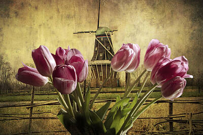 Randall Nyhof Royalty-Free and Rights-Managed Images - Tulips with the DeZwaan Windmill in Holland Michigan No. 105 by Randall Nyhof
