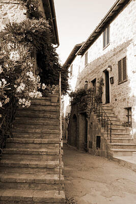 Donna Corless Royalty-Free and Rights-Managed Images - Tuscan Stairways 2 by Donna Corless