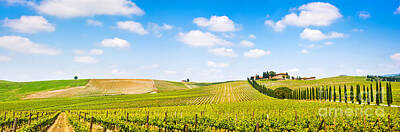 Wine Royalty-Free and Rights-Managed Images - Tuscany landscape panorama by JR Photography