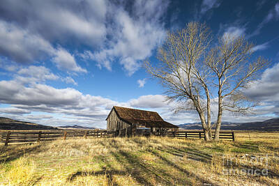 1-war Is Hell - Twaddle Ranch Barn by Dianne Phelps