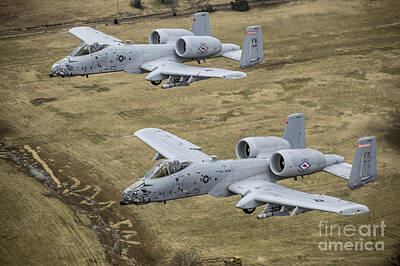 Black Cat Crossing - Two A-10 Thunderbolt Iis Conduct by Stocktrek Images