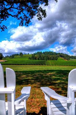Jerry Sodorff Royalty-Free and Rights-Managed Images - Two Chairs In The Vineyard 19085 by Jerry Sodorff