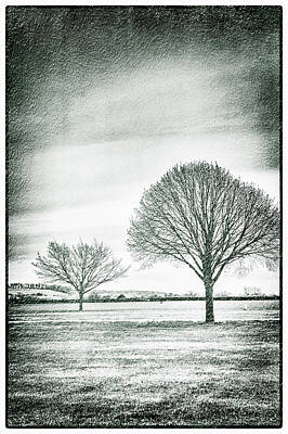 Autumn Landscape Photography Parker Cunningham - Two Trees in a field by Lenny Carter