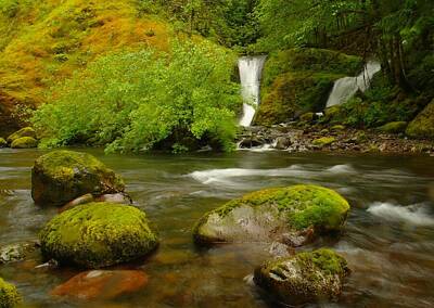 Spot Of Tea - Two Waterfalls Along Eagle Creek by Jeff Swan