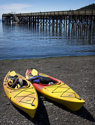Spaces Images - Two Yellow Kayaks by Sonya Lang