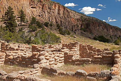 Amy Hamilton Animal Collage - Tyuonyi Bandelier National Monument by Fred Stearns