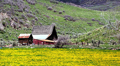 Jerry Sodorff Royalty Free Images - Utah Ranch 482 Royalty-Free Image by Jerry Sodorff
