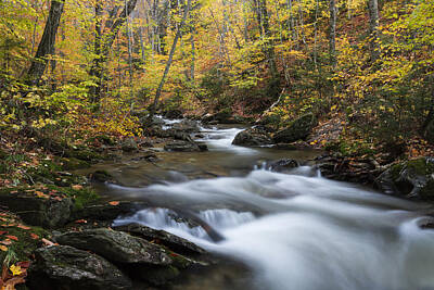 Prescription Medicine - Vermont Autumn waterfall Mount Mansfield Smugglers Notch by Andy Gimino