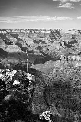 Colorful Pop Culture Royalty Free Images - Vertical Grand Canyon at Sunset - BW Royalty-Free Image by Gregory Ballos