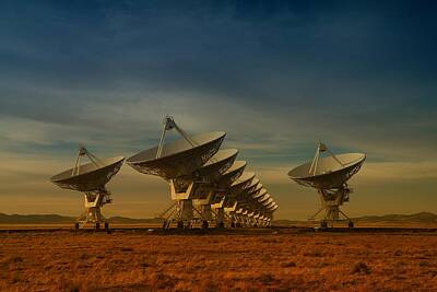 Birds Royalty-Free and Rights-Managed Images - Very Large Array New Mexico by Jeff Swan