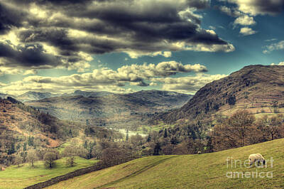 Wild Horse Paintings - View of windermere from high up by Shaun Wilkinson