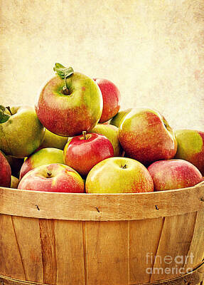 Food And Beverage Royalty-Free and Rights-Managed Images - Vintage Apple Basket by Edward Fielding