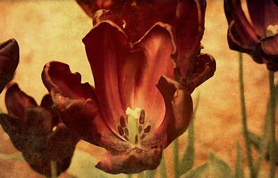 Florals Mixed Media - Vintage Tulips by Georgiana Romanovna