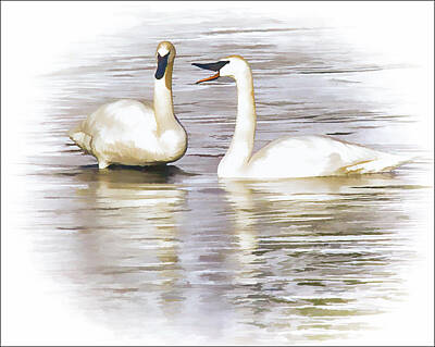 Outerspace Patenets Rights Managed Images - Vocal Swan Royalty-Free Image by Priscilla Burgers