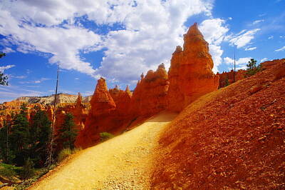 Birds Royalty-Free and Rights-Managed Images - Walking Into Bryce by Jeff Swan
