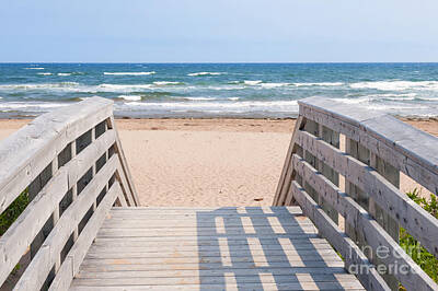 Beach Photo Rights Managed Images - Walkway to Atlantic beach Royalty-Free Image by Elena Elisseeva