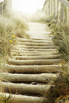 Beach Royalty-Free and Rights-Managed Images - Walkway to beach by Les Cunliffe